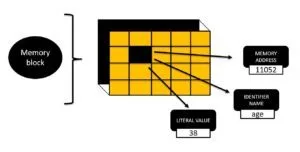 Identifiers Visualixation