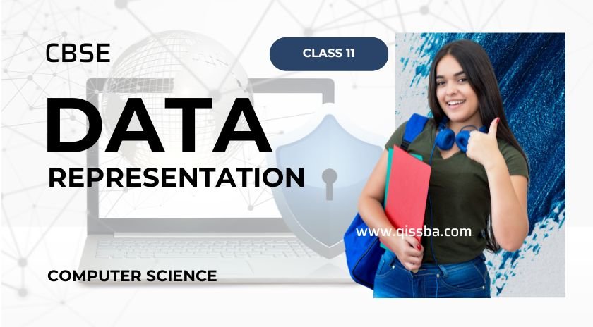 data representation pdf class 11