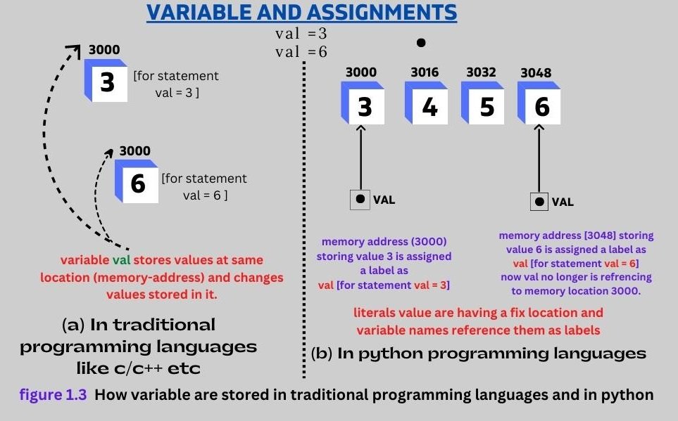assignments vs variables
