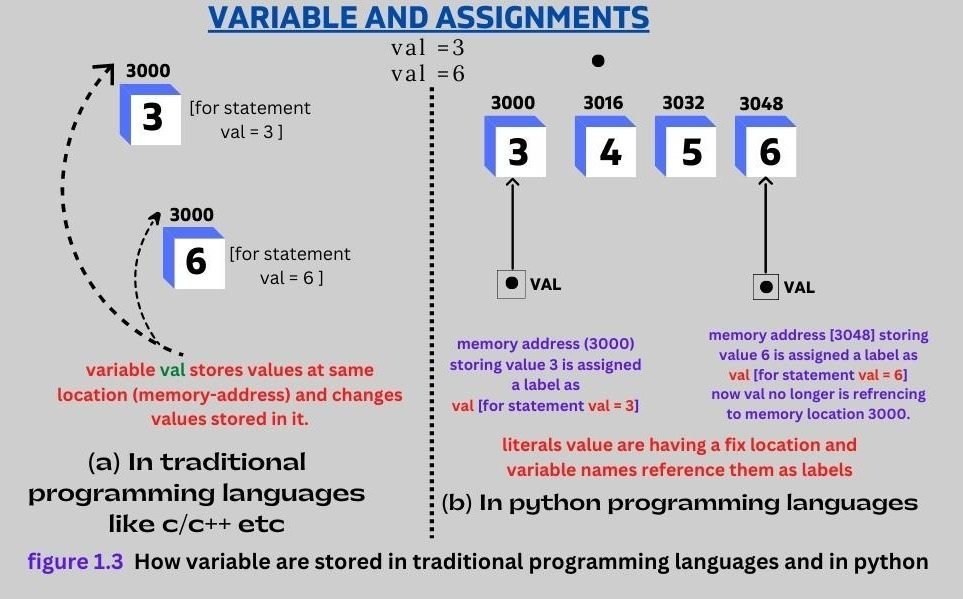 assignments vs variables