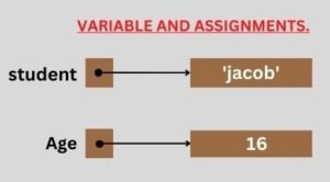variable and assignments 