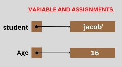 assignments vs variables