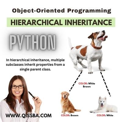 example-of-hierarchical-inheritance-in-Python