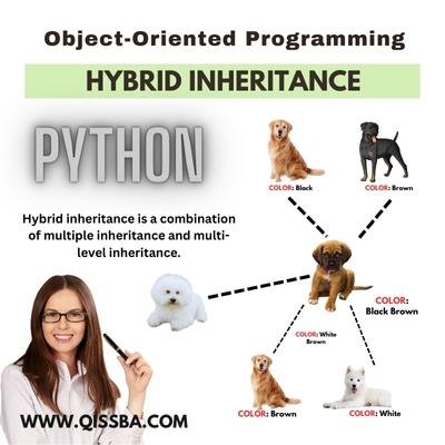 example-of-hybrid-inheritance-in-Python
