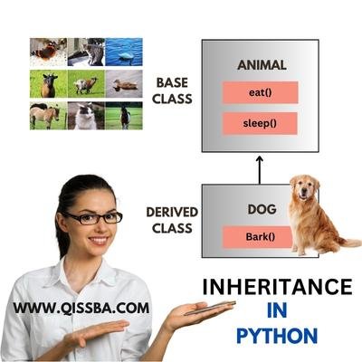 example-of-inheritance-object-oriented-programming