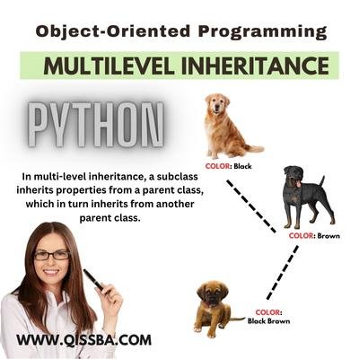 example-of-multilevel-inheritance-in-Python