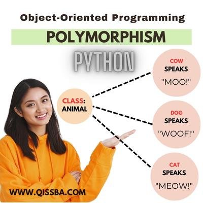 example-of-polymorphism-python