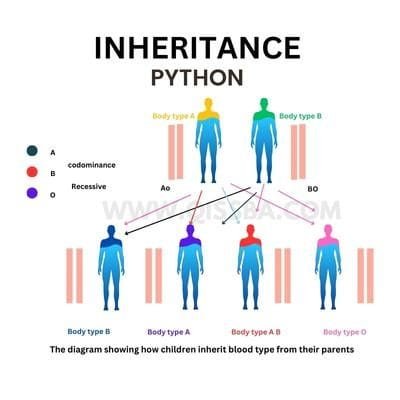 real-life-example-of-inheritance-object-oriented-programming