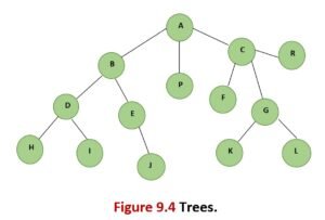 trees-in-python